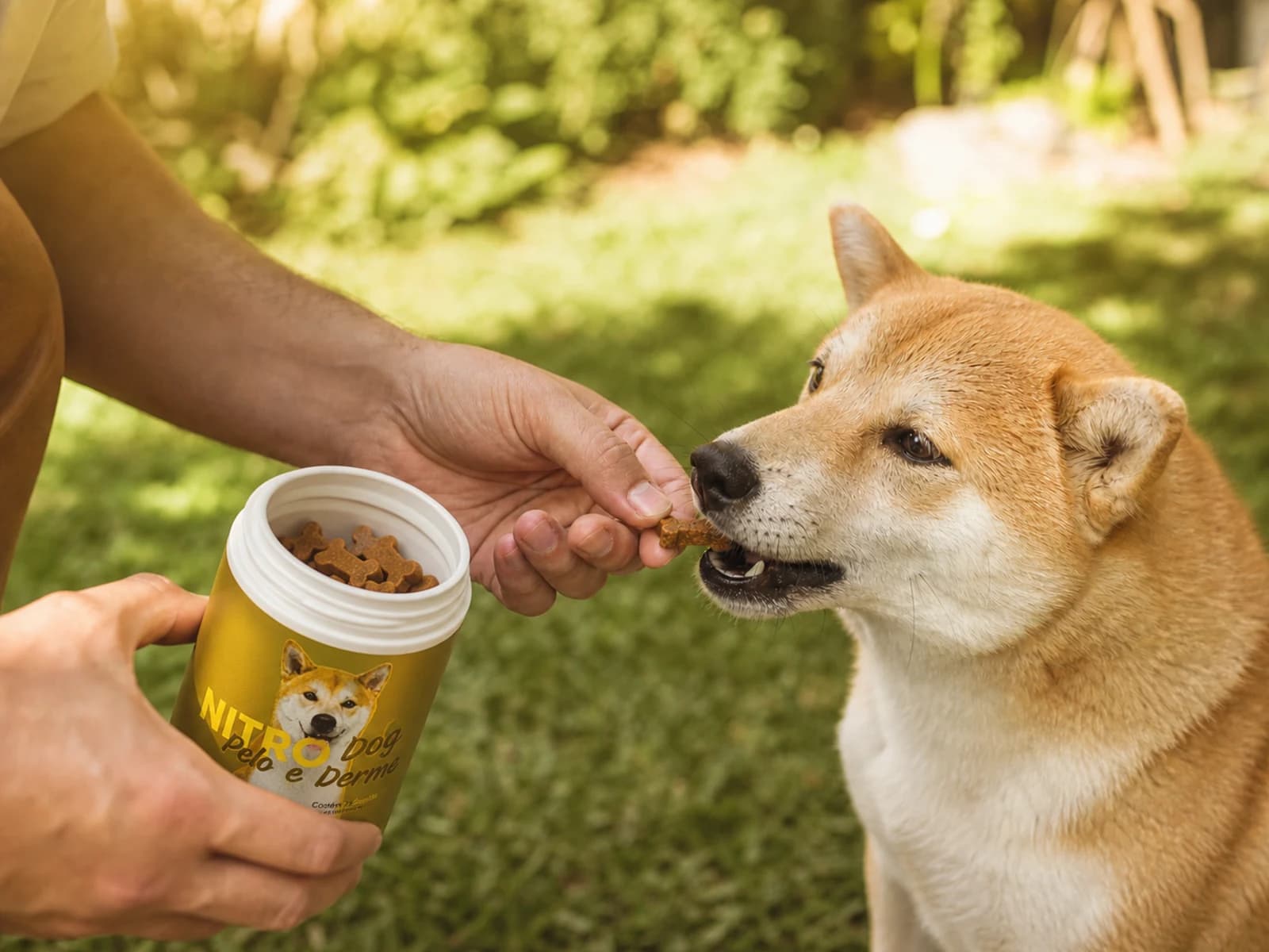 Suplemento para Cachorro Nitro Dog Pelo e Derme 75 Snacks — Como usar